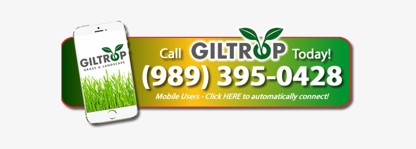 Call Now Button - Caffeinated Drink, transparent png #1667301