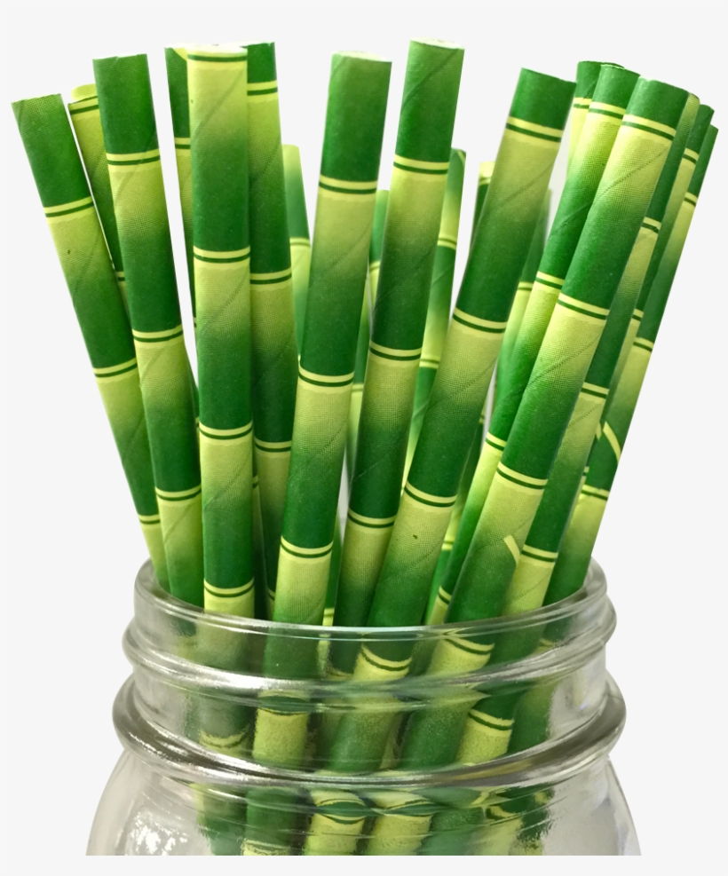 Bamboo Paper Straw - Paper Party Straws Bamboo, transparent png #1667348