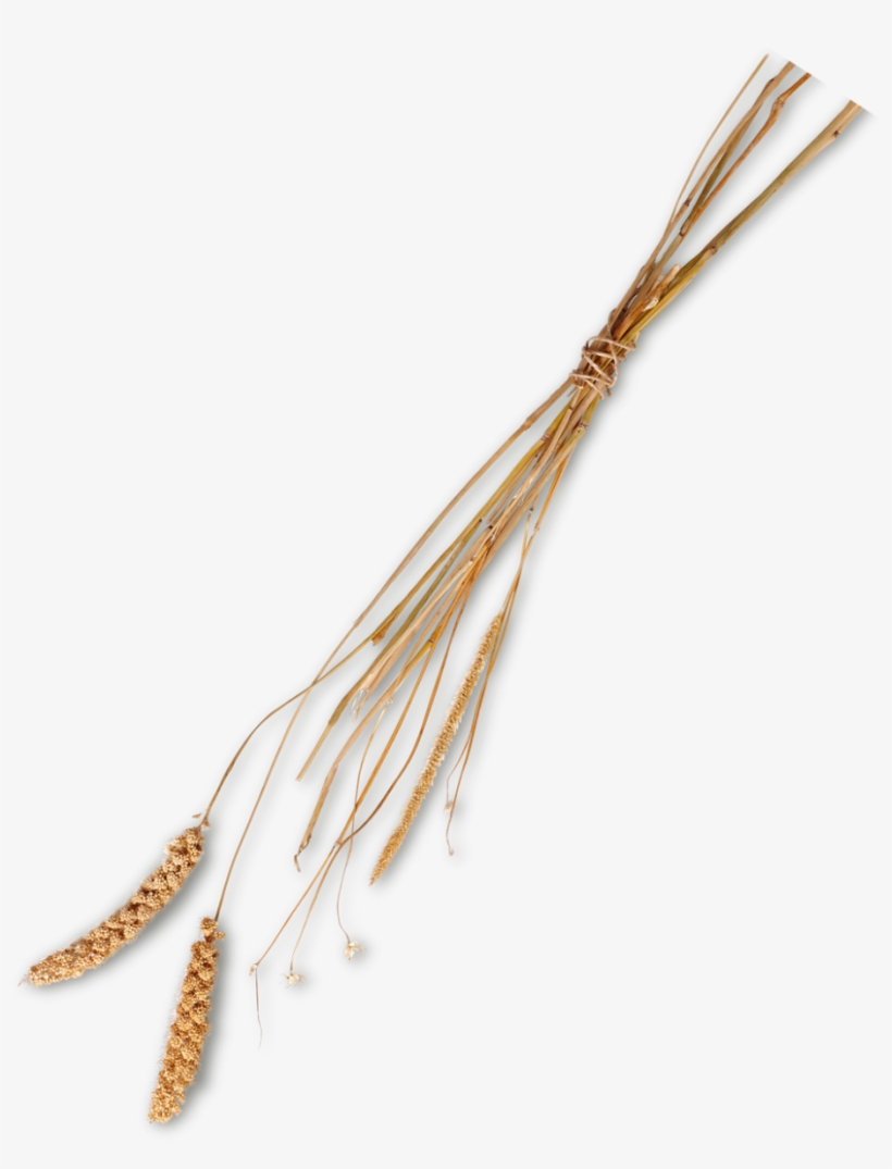 Wire, transparent png #1667515