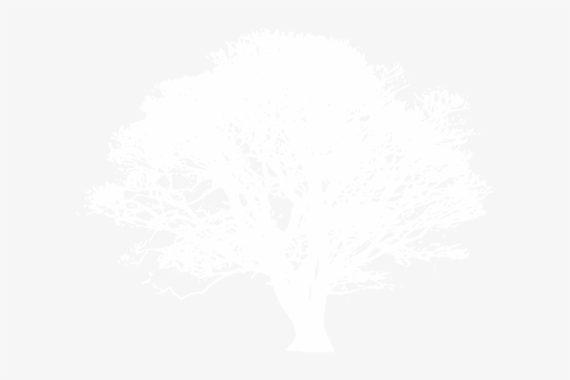 Clip Art White Tree, transparent png #1668315
