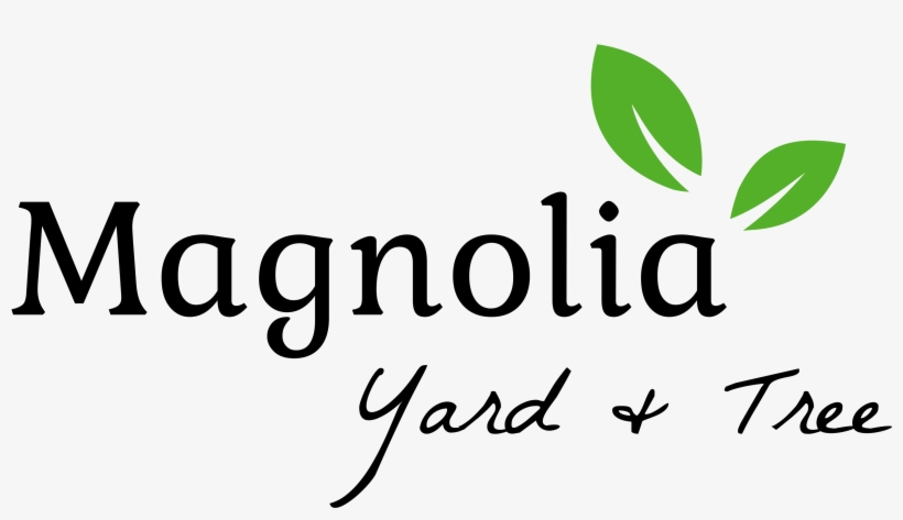 Magnolia Yard & Trees - Calligraphy, transparent png #1668519