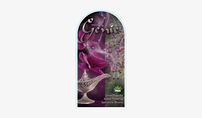Find A Supplier - Magnolia Genie, transparent png #1668567