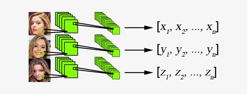 Sasha Pieterse Facenet Calc - Sasha Pieterse, transparent png #1668742