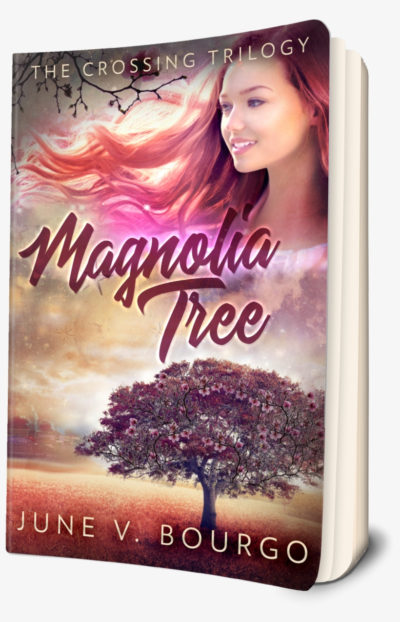 Magnolia Tree, The Crossing Trilogy, Book 1 Is A New - Caffè E Trucioli Di Sole, transparent png #1668817