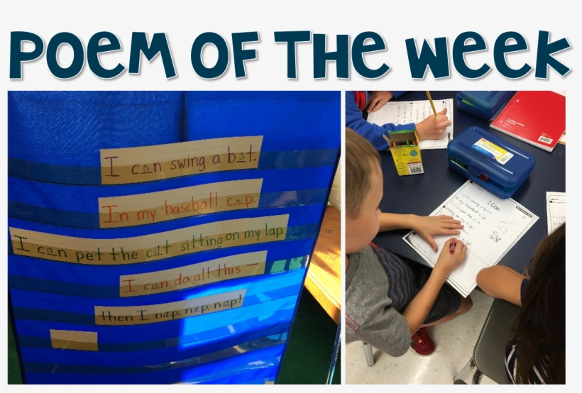 Since, We Were At The Start Of School When We Did Pete - Cheeky Monkey Shower Curtain, transparent png #1669343