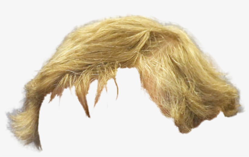 Blonde Hair Png Man, transparent png #1670742