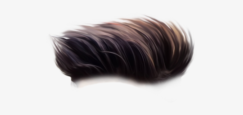 But I Prefer You To Download The Zip File Below These - Hair Png Hd, transparent png #1670992