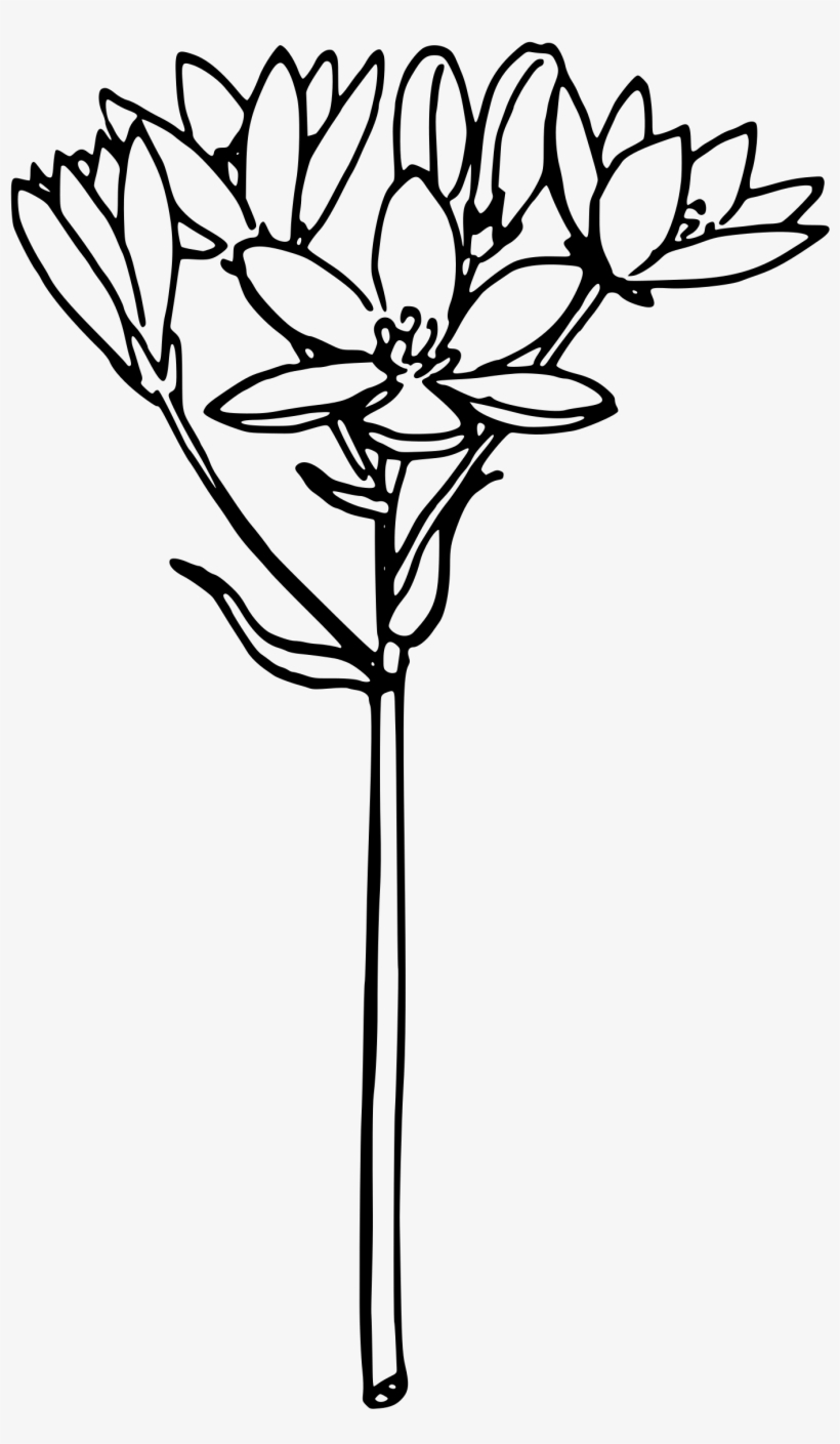 This Free Icons Png Design Of Star Of Bethlehem 2, transparent png #1671764