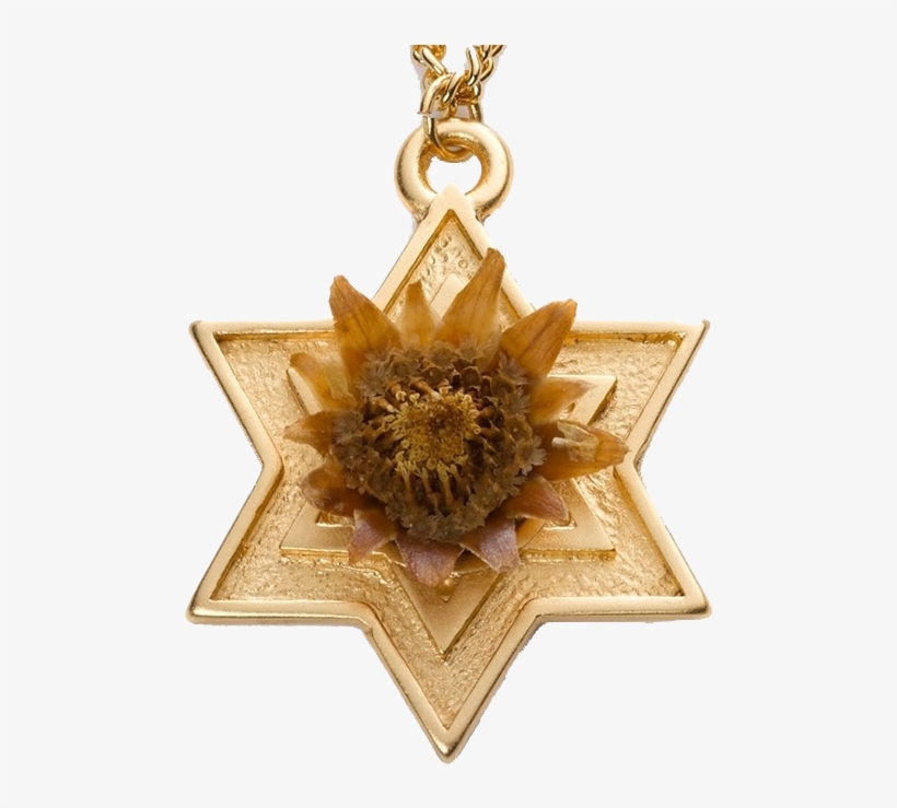 Rose Of Bethlehem Gold-filled Star - Rose Of Bethlehem - Gold Star Of David, transparent png #1672565