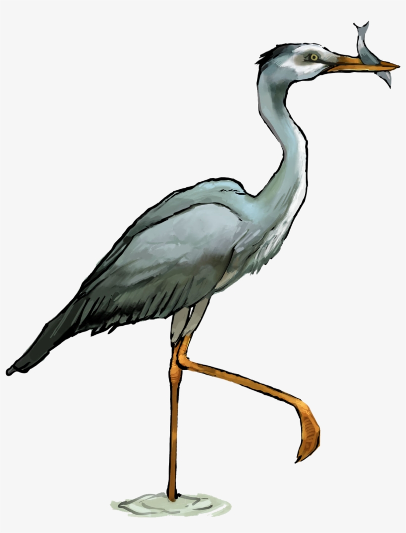 Heron Png Transparent - Heron Png, transparent png #1673303