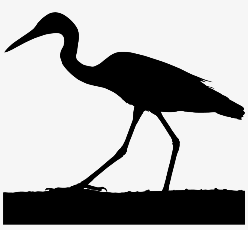 Crane Clipart Blue Crane - Grey Crane Bird Silhouette, transparent png #1673534