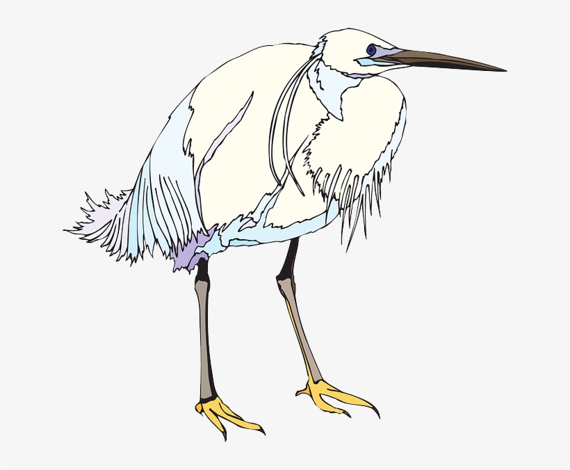Blue, White, Bird, Wings, Standing, Heron, Feathers - Heron, transparent png #1673558