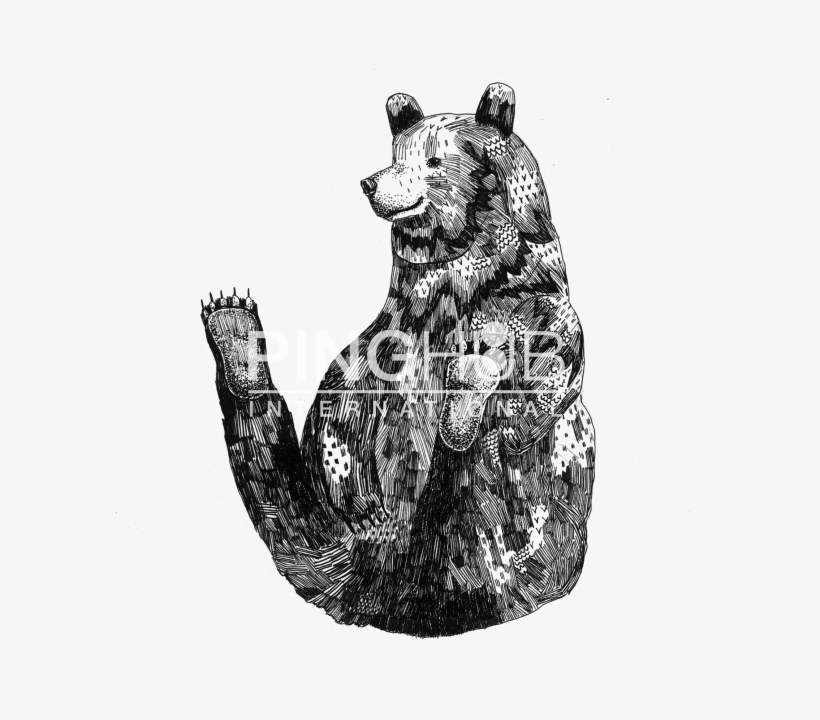 Grizzly Bear, transparent png #1674062