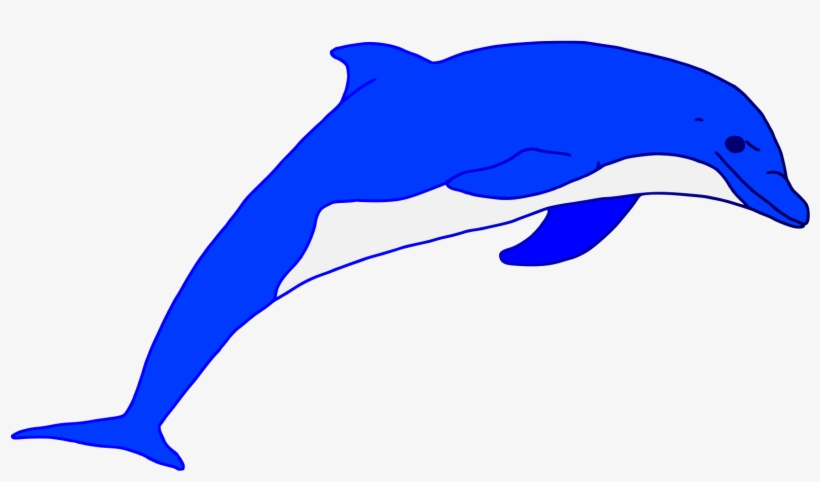 Vector Royalty Free Blue Dolphin Vector Art Rooweb - Blue Dolphin Clipart Png, transparent png #1674146