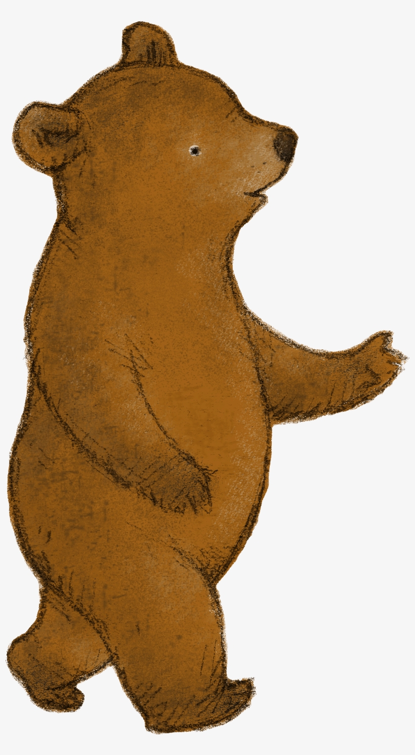 Little Bear Lost, transparent png #1674206