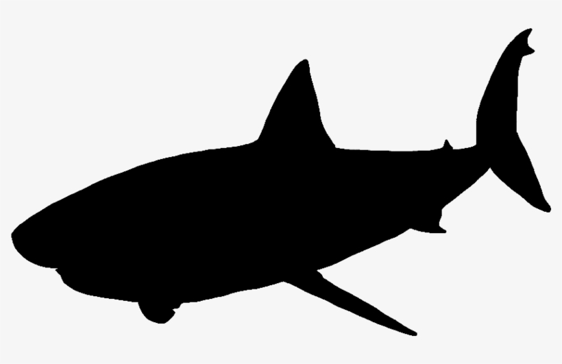 Shark Jumping Out Of Water Png - Great White Shark Silhouette Png, transparent png #1674330