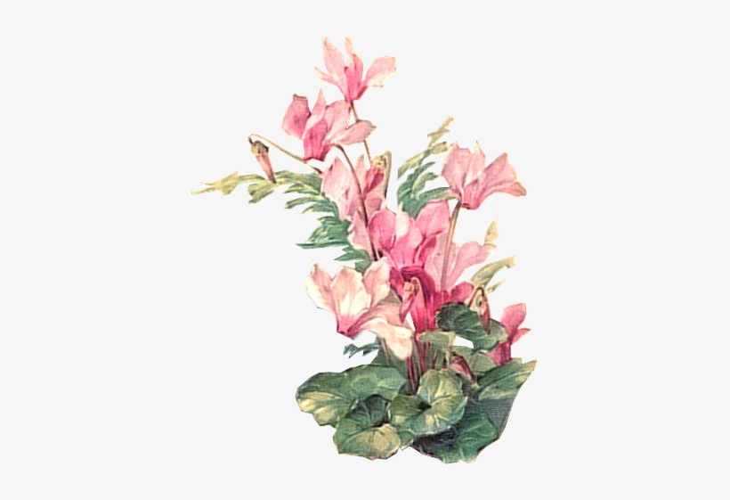 Flower 2 Tuckdb Org - Vintage Flower Painting Png, transparent png #1674689