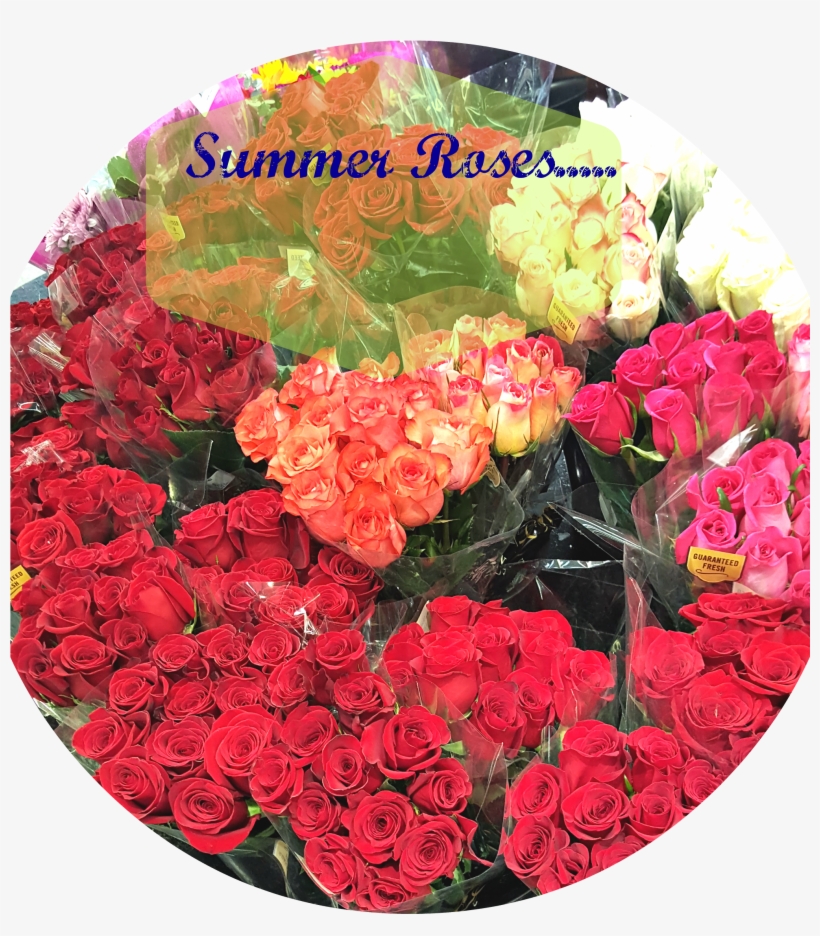 It's June, Summer Is Here, And It's Getting Hot I Love, transparent png #1674775