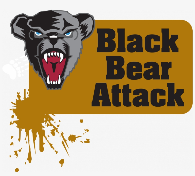 The Black Bear Attack Adventure Race Is Back - University Of Maine, transparent png #1674888