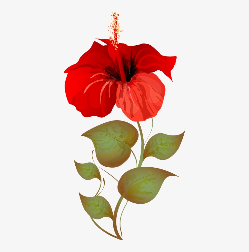 Grab This Free Summer Flower Clip Art - Hibiscus Plant Clip Art, transparent png #1674951
