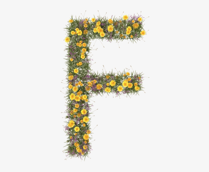 Summer Flower Font - Caterpillar, transparent png #1674957