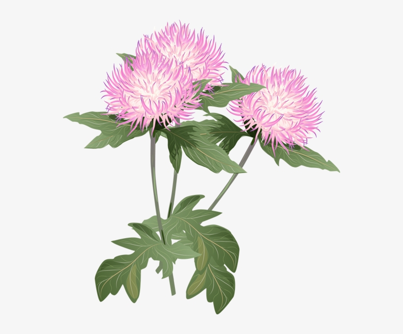 A Bouquet Of Summer Flowers Clip Art - Thistle Flower Clipart, transparent png #1675105