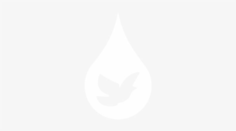 Bellablood White With Border - White Photo For Instagram, transparent png #1675189