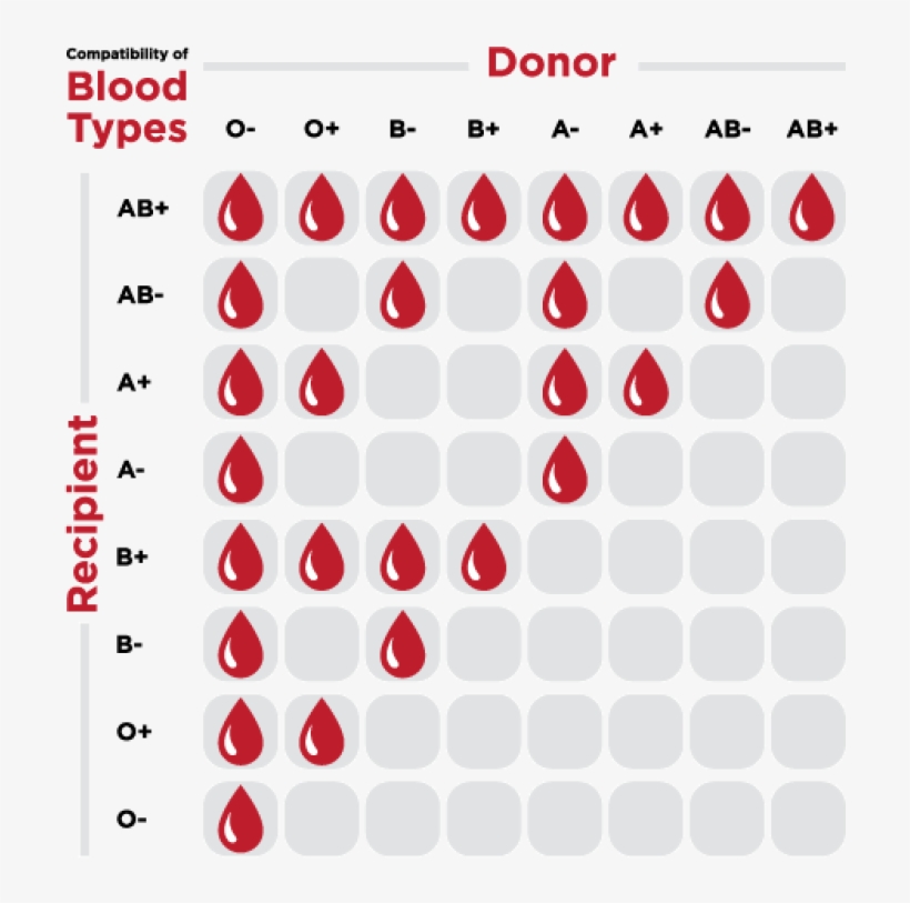 Thumbnail - Blood Types, transparent png #1675265