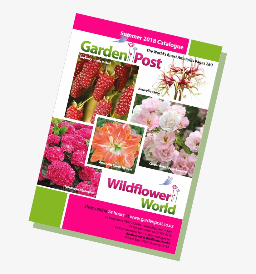 Gardenpost Summer Catalogue - Quiksilver Molokai Comp Word Eu 46 Flip Flop Urban, transparent png #1675380