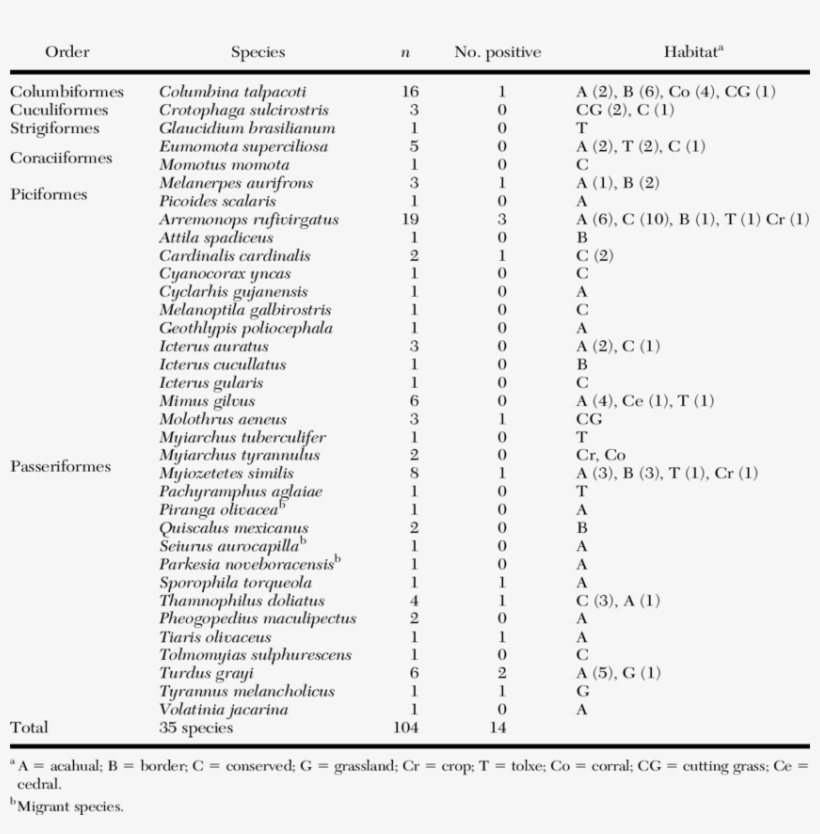 Number Of Birds By Species, Habitat Types, And Number - Mexico, transparent png #1675420
