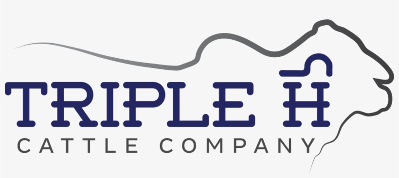 Triple H Cattle Company - Ginger Ale, transparent png #1676817
