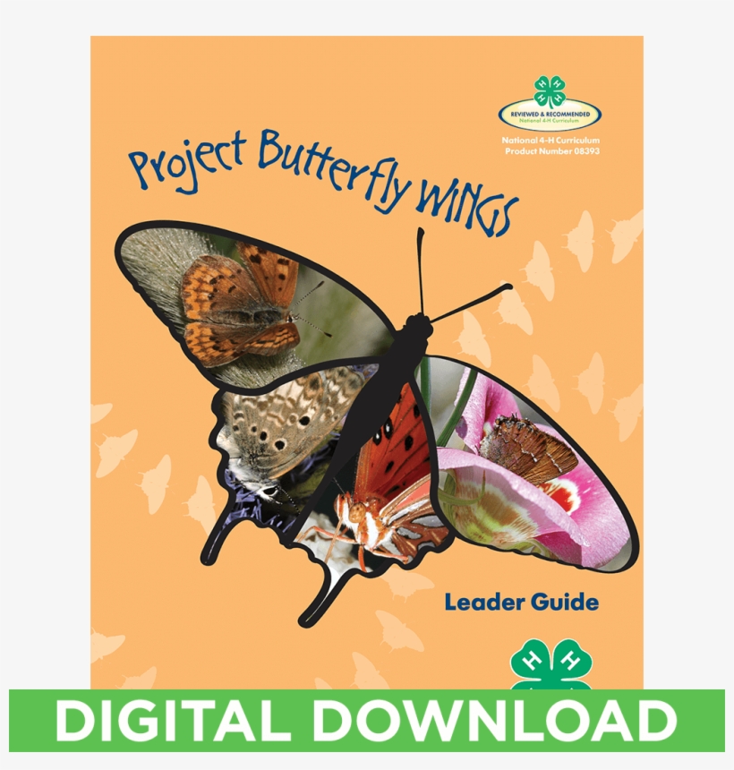 Butterfly Wings Curriculum Facilitator Guide Digital - Lycaenid, transparent png #1677274