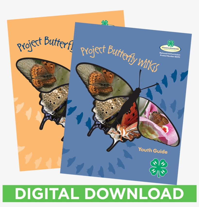 Butterfly Wings Curriculum Set Of 2 Digital Download - Butterfly, transparent png #1677429