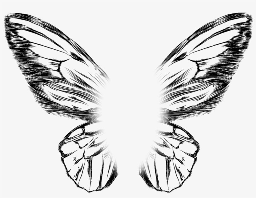 Asas Butterfly Wings Editing Picsart Pretty Png Asas - Drawing, transparent png #1677651