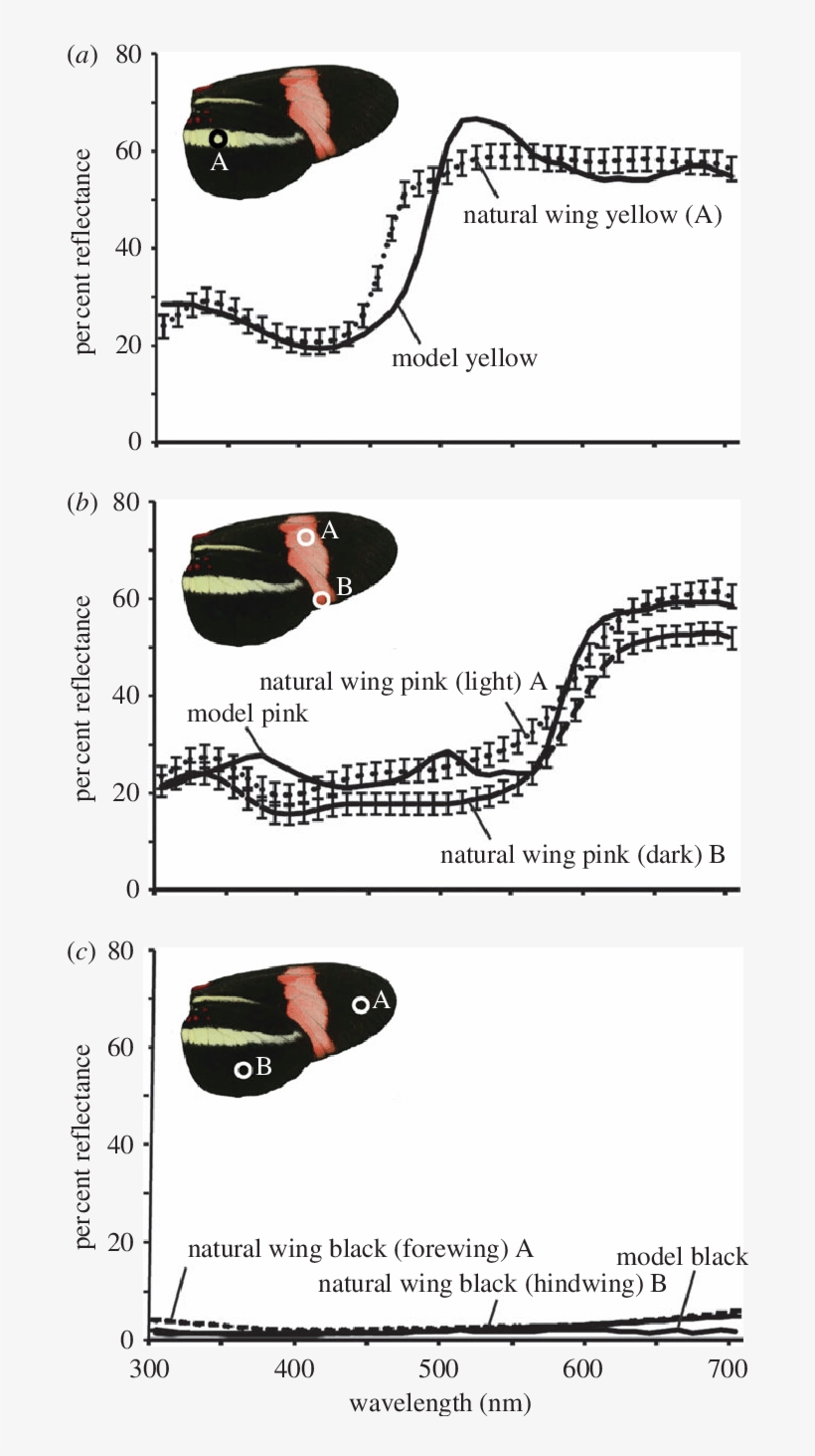 Reflectance Spectra Of Natural And Artificial Butterfly - Tongue, transparent png #1677779