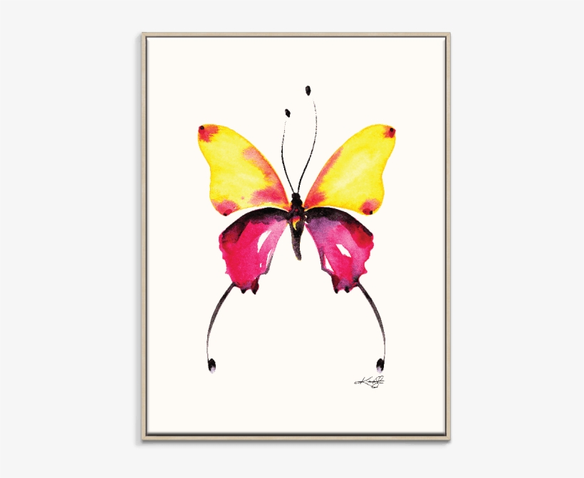 Home - August Grove 'butterfly 9' Watercolor Painting Print, transparent png #1677826