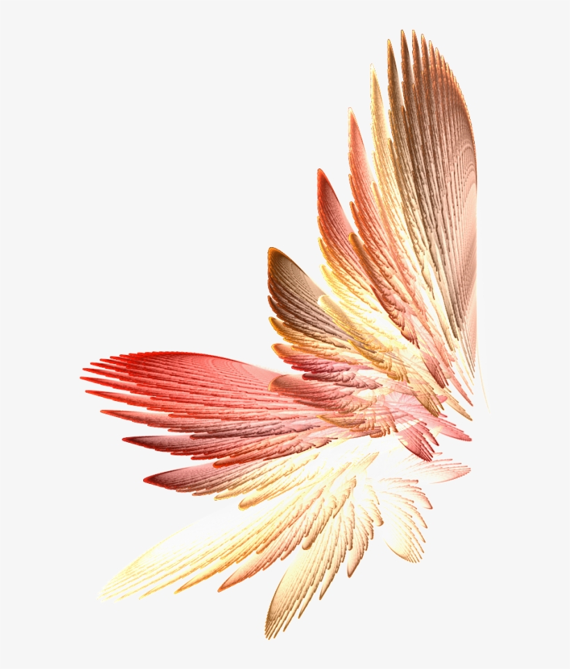 Tinkerbell Wings Png Download - Png Fairy Wings Transparent, transparent png #1677877