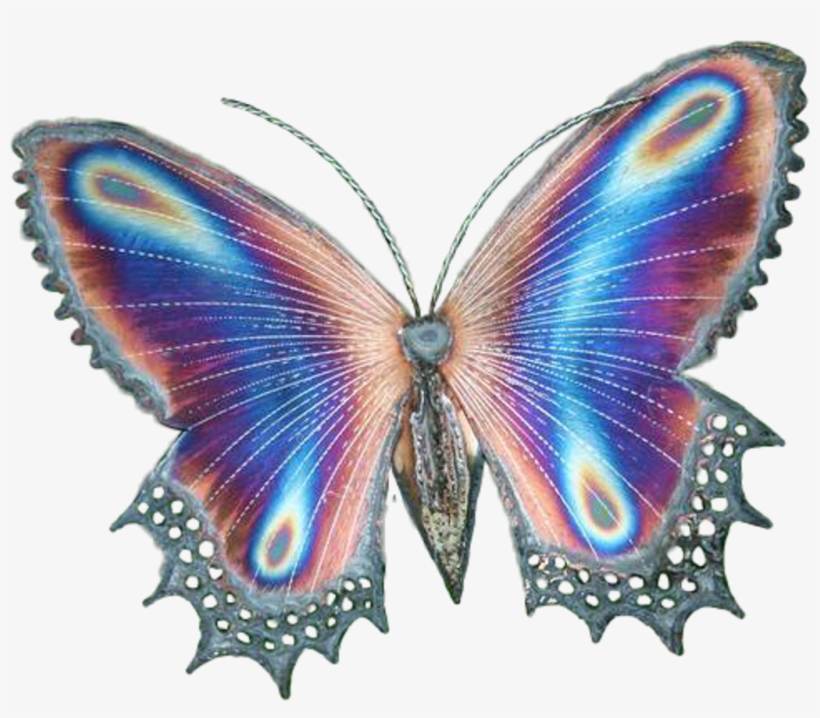 Transparent Butterfly Butterflies Butterflywings Magic - Butterflies And Hummingbirds: Coloring Book, transparent png #1678080