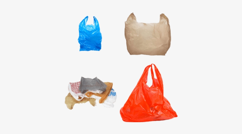 Plastic Bags - Intelligent Nutrients Certified Organic Perfect Hold, transparent png #1678217