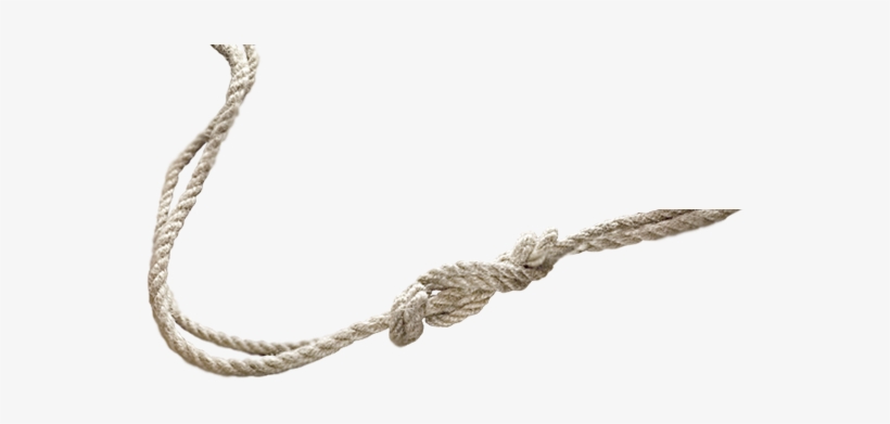 Macneill's Pei Tuna And Deep-sea Fishing Charters, transparent png #1678966