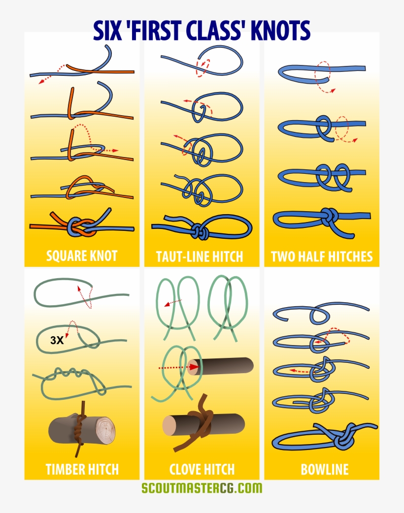 Six First Class Knots Infographic - Six First Class Knots, transparent png #1679377