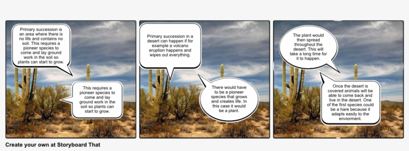 Primary Succession In Desert - Primary Succession, transparent png #1679614