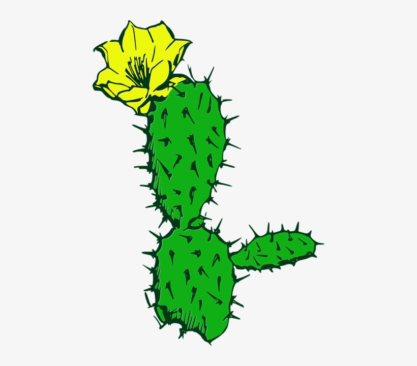 Flora De Desierto Png, transparent png #1679710