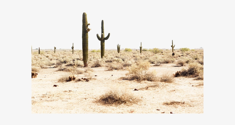 Desert Png Transparent Image - Photography, transparent png #1679794