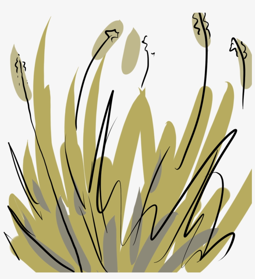 I Applied The Texture To A Flat Square Plane On Maya, transparent png #1679842