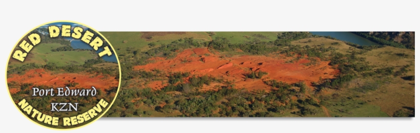 Nature Reserve, transparent png #1679920