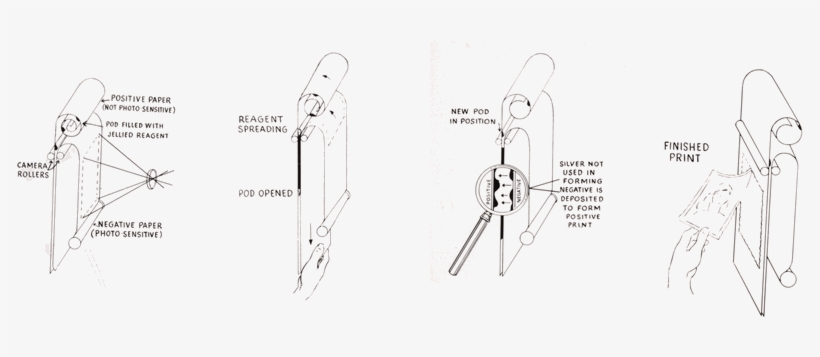 In 1944, Polaroid - Polaroid Corporation, transparent png #1680234