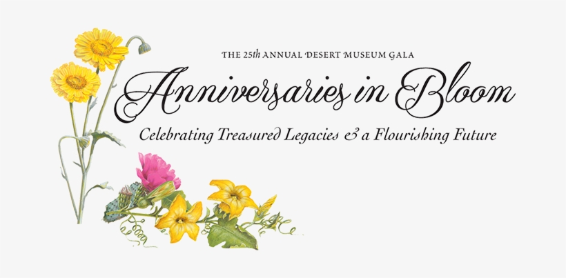 The 25th Annual Desert Museum Gala - Work In Progress: Exploring Biblical Perspectives, transparent png #1680366