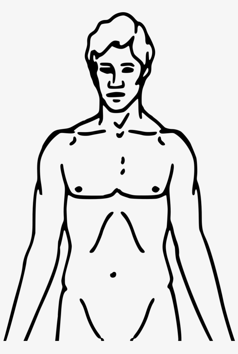 Drawing Obama Full Body - Chemical Basis Of Love, transparent png #1680435