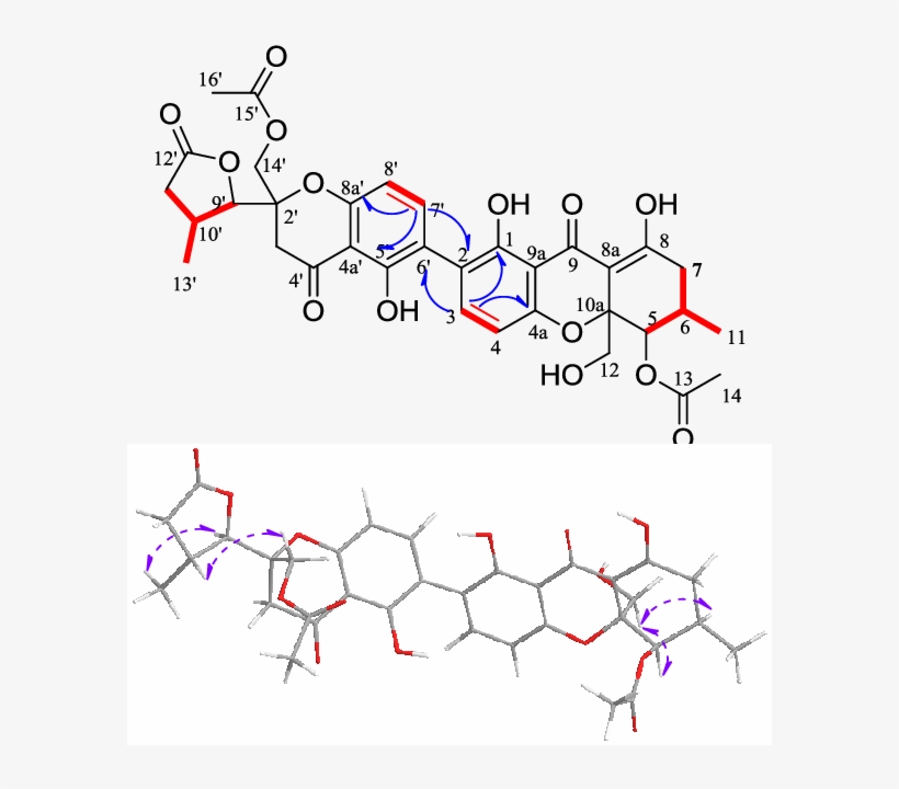 H-1 H Cosy , Key Hmbc (blue Arrow - Diagram, transparent png #1681049